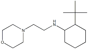 2-tert-butyl-N-[2-(morpholin-4-yl)ethyl]cyclohexan-1-amine Struktur