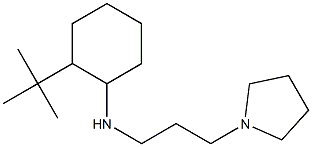 2-tert-butyl-N-[3-(pyrrolidin-1-yl)propyl]cyclohexan-1-amine,,结构式