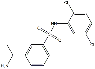 3-(1-aminoethyl)-N-(2,5-dichlorophenyl)benzene-1-sulfonamide Structure