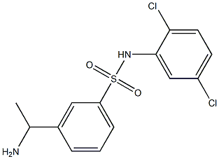 3-(1-aminoethyl)-N-(2,5-dichlorophenyl)benzene-1-sulfonamide|