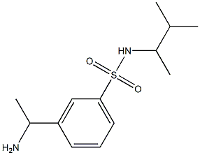 3-(1-aminoethyl)-N-(3-methylbutan-2-yl)benzene-1-sulfonamide Structure