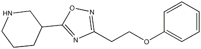 3-(2-phenoxyethyl)-5-(piperidin-3-yl)-1,2,4-oxadiazole 结构式