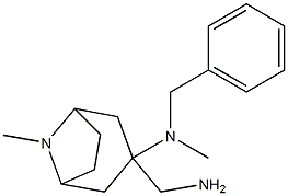 3-(aminomethyl)-N-benzyl-N,8-dimethyl-8-azabicyclo[3.2.1]octan-3-amine 化学構造式