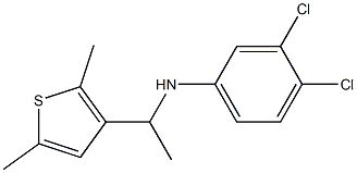 3,4-dichloro-N-[1-(2,5-dimethylthiophen-3-yl)ethyl]aniline 化学構造式