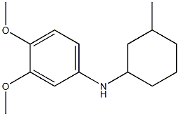 3,4-dimethoxy-N-(3-methylcyclohexyl)aniline