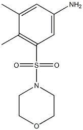 3,4-dimethyl-5-(morpholine-4-sulfonyl)aniline 结构式