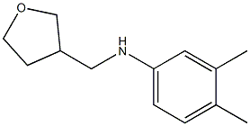 3,4-dimethyl-N-(oxolan-3-ylmethyl)aniline,,结构式