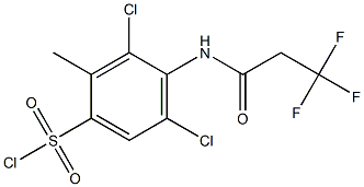 3,5-dichloro-2-methyl-4-(3,3,3-trifluoropropanamido)benzene-1-sulfonyl chloride 化学構造式