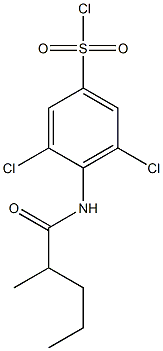 3,5-dichloro-4-(2-methylpentanamido)benzene-1-sulfonyl chloride Structure