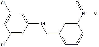 3,5-dichloro-N-[(3-nitrophenyl)methyl]aniline 化学構造式