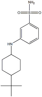 3-[(4-tert-butylcyclohexyl)amino]benzene-1-sulfonamide 化学構造式