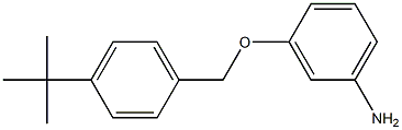 3-[(4-tert-butylphenyl)methoxy]aniline 化学構造式