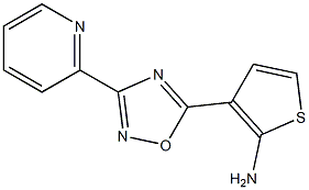 3-[3-(pyridin-2-yl)-1,2,4-oxadiazol-5-yl]thiophen-2-amine