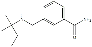 3-{[(2-methylbutan-2-yl)amino]methyl}benzamide|