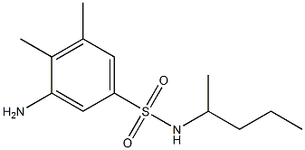 3-amino-4,5-dimethyl-N-(pentan-2-yl)benzene-1-sulfonamide Struktur