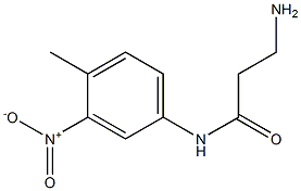 3-amino-N-(4-methyl-3-nitrophenyl)propanamide