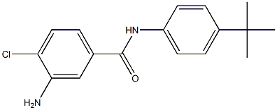 3-amino-N-(4-tert-butylphenyl)-4-chlorobenzamide 结构式