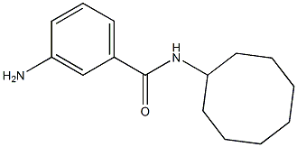 3-amino-N-cyclooctylbenzamide Structure