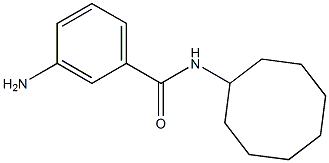  3-amino-N-cyclooctylbenzamide