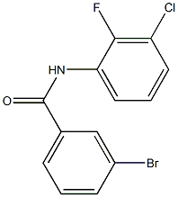 3-bromo-N-(3-chloro-2-fluorophenyl)benzamide,,结构式