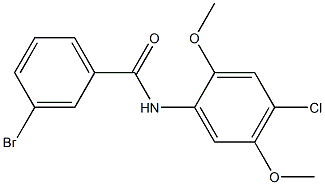 3-bromo-N-(4-chloro-2,5-dimethoxyphenyl)benzamide 化学構造式