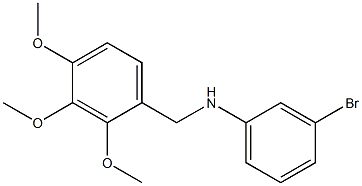 3-bromo-N-[(2,3,4-trimethoxyphenyl)methyl]aniline Structure