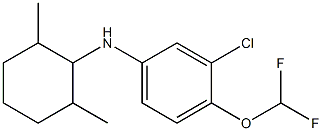 3-chloro-4-(difluoromethoxy)-N-(2,6-dimethylcyclohexyl)aniline Struktur