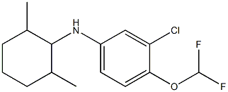 3-chloro-4-(difluoromethoxy)-N-(2,6-dimethylcyclohexyl)aniline Structure