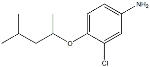 3-chloro-4-[(4-methylpentan-2-yl)oxy]aniline 化学構造式