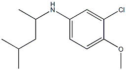 3-chloro-4-methoxy-N-(4-methylpentan-2-yl)aniline 化学構造式
