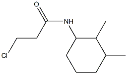 3-chloro-N-(2,3-dimethylcyclohexyl)propanamide Structure