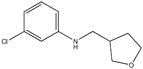 3-chloro-N-(oxolan-3-ylmethyl)aniline 化学構造式