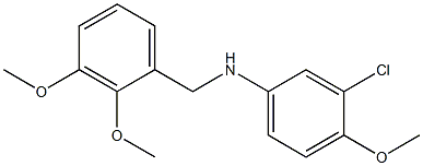  3-chloro-N-[(2,3-dimethoxyphenyl)methyl]-4-methoxyaniline