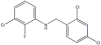  3-chloro-N-[(2,4-dichlorophenyl)methyl]-2-fluoroaniline