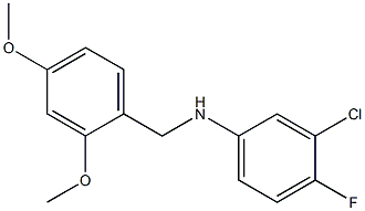 3-chloro-N-[(2,4-dimethoxyphenyl)methyl]-4-fluoroaniline,,结构式