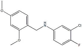  3-chloro-N-[(2,4-dimethoxyphenyl)methyl]-4-fluoroaniline