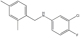  3-chloro-N-[(2,4-dimethylphenyl)methyl]-4-fluoroaniline
