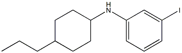 3-iodo-N-(4-propylcyclohexyl)aniline Structure