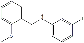 3-iodo-N-[(2-methoxyphenyl)methyl]aniline,,结构式