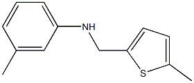 3-methyl-N-[(5-methylthiophen-2-yl)methyl]aniline 结构式