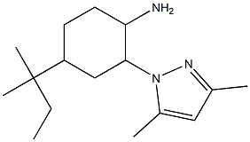 4-(1,1-dimethylpropyl)-2-(3,5-dimethyl-1H-pyrazol-1-yl)cyclohexanamine