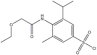 4-(2-ethoxyacetamido)-3-methyl-5-(propan-2-yl)benzene-1-sulfonyl chloride Struktur