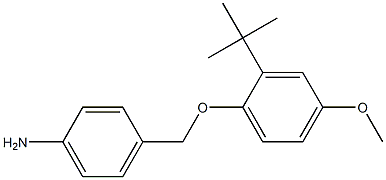 4-(2-tert-butyl-4-methoxyphenoxymethyl)aniline,,结构式