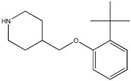 4-(2-tert-butylphenoxymethyl)piperidine Structure