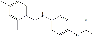 4-(difluoromethoxy)-N-[(2,4-dimethylphenyl)methyl]aniline,,结构式