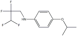 4-(propan-2-yloxy)-N-(2,2,3,3-tetrafluoropropyl)aniline