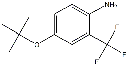  4-(tert-butoxy)-2-(trifluoromethyl)aniline