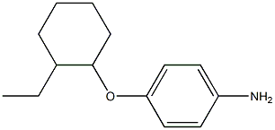 4-[(2-ethylcyclohexyl)oxy]aniline Structure