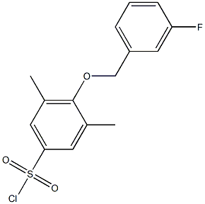 4-[(3-fluorophenyl)methoxy]-3,5-dimethylbenzene-1-sulfonyl chloride 化学構造式