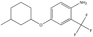  4-[(3-methylcyclohexyl)oxy]-2-(trifluoromethyl)aniline